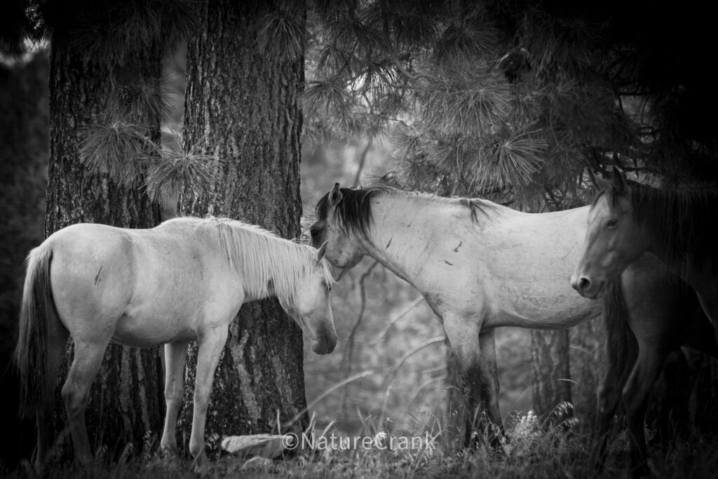 Sharing a moment with the one you love ...