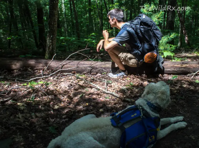 Hiking the appalachian trail and gear list