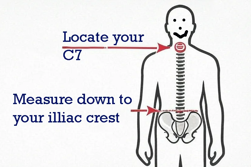 An anatomical diagram showing the human pelvis and the iliac crest, highlighting the top of the hip bone where a backpack hip belt should rest.