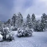 A wide, cinematic winter scene of an off-grid RV camp buried in deep snow during a Saturday morning storm.