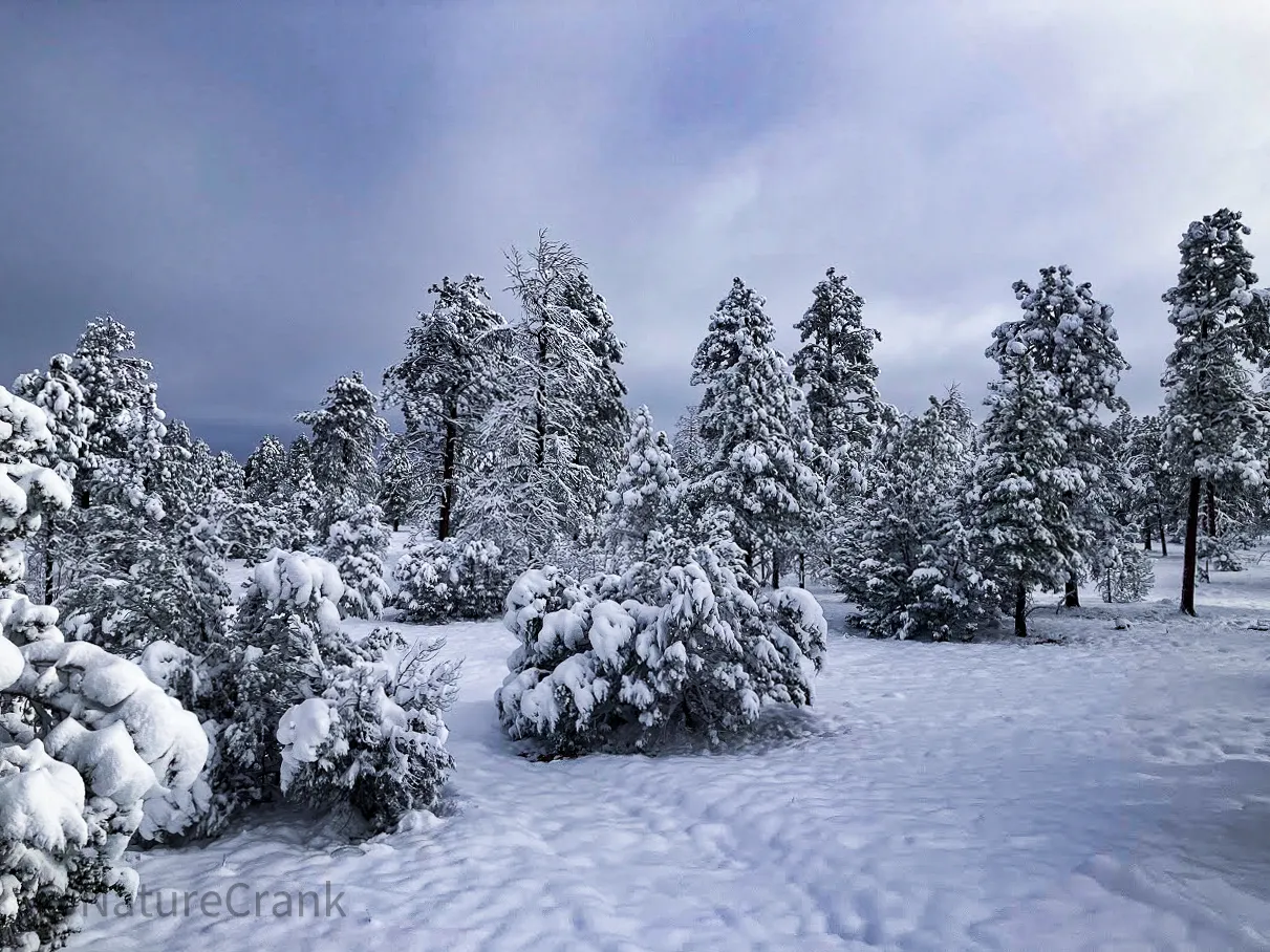 A wide, cinematic winter scene of an off-grid RV camp buried in deep snow during a Saturday morning storm.