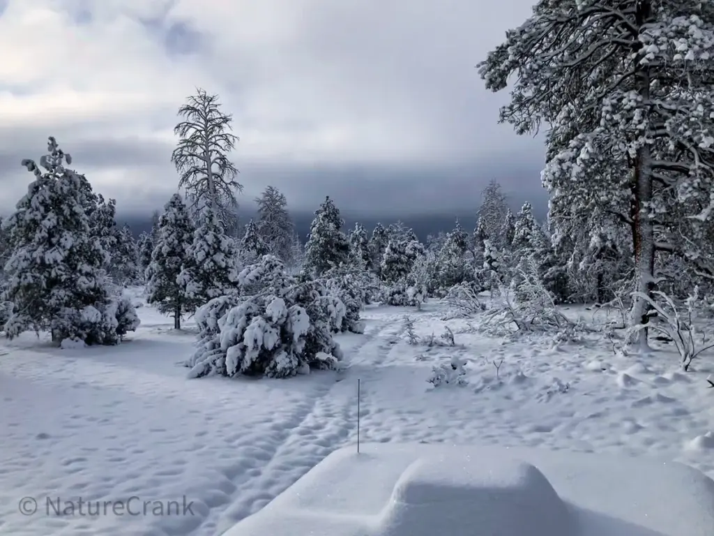 A beautiful winter landscape featuring a DIY off-grid RV with solar panels completely covered by a thick layer of snow during a storm.