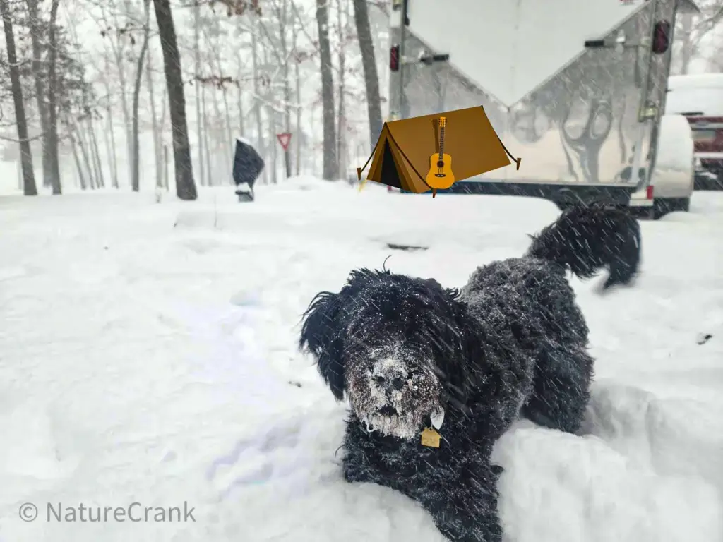 A black dog named Lady Midnight with a face covered in snow standing in front of a DIY off-grid RV build during a winter storm.