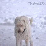 Properly layer for winter backpacking