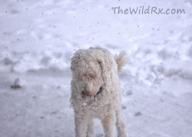 Properly layer for winter backpacking