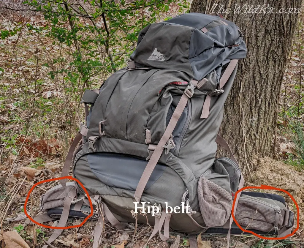A hiking backpack leaning against a tree with a red circle highlighting the padded hip belt to show proper placement for weight distribution.