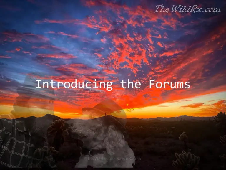 The wild rx communicty (forum)