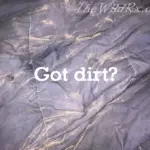 Fine desert sand and dusty paw prints from dogs scattered across a sleeping bag inside an off-grid RV.