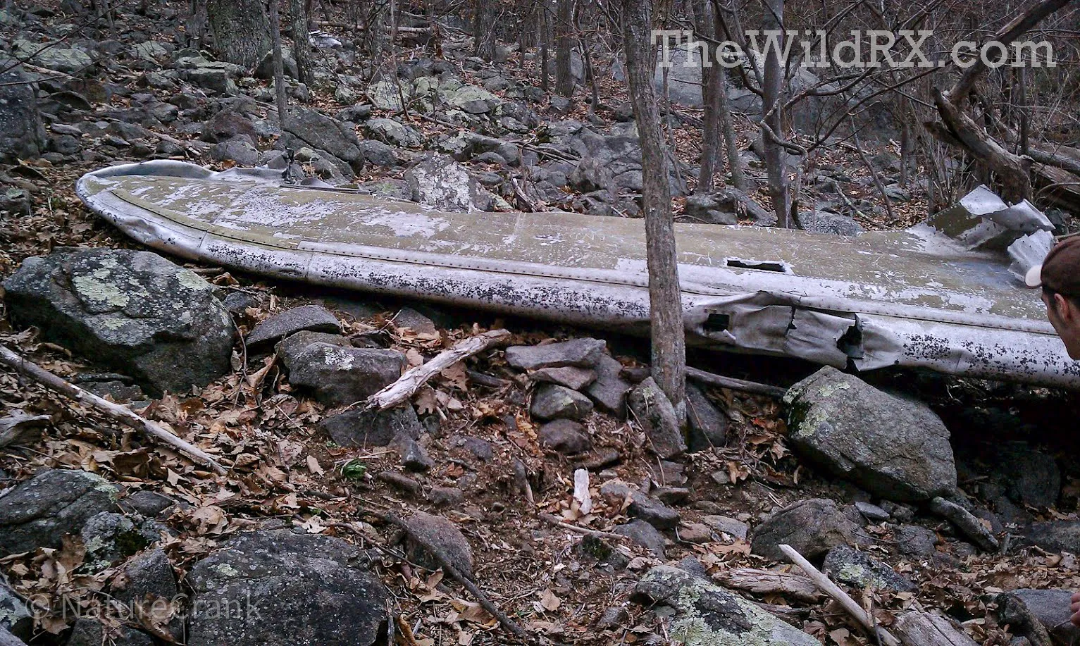 Landscape view of a B-25 bomber wing resting on the rocky, wooded slope of Sharp Top Mountain in Virginia.