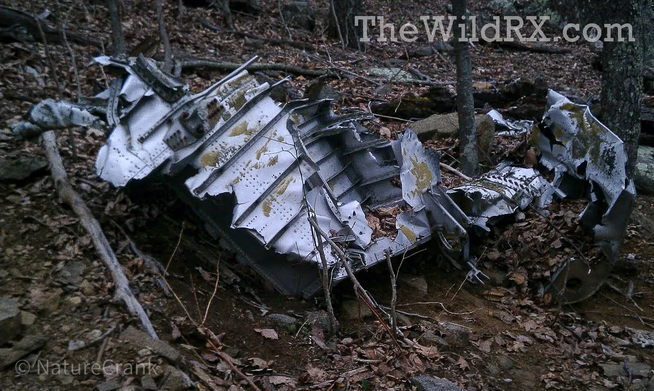 Remnants of the B-25 Mitchell bomber fuselage resting in the woods on Sharp Top Mountain, Virginia.
