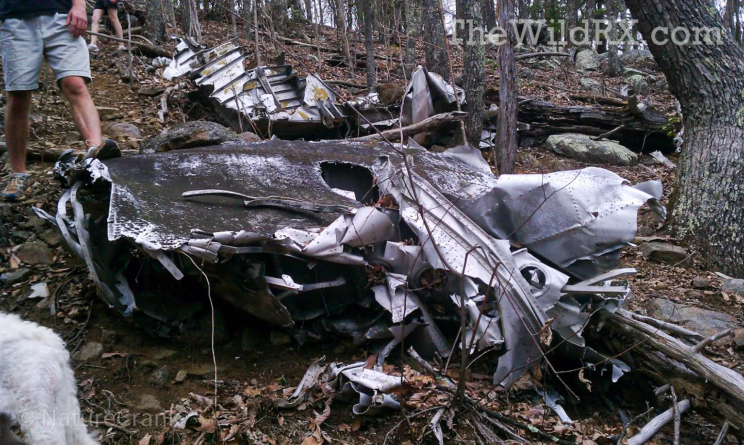 Scattered aircraft debris and wing fragments from the 1943 B-25 bomber crash at Peaks of Otter