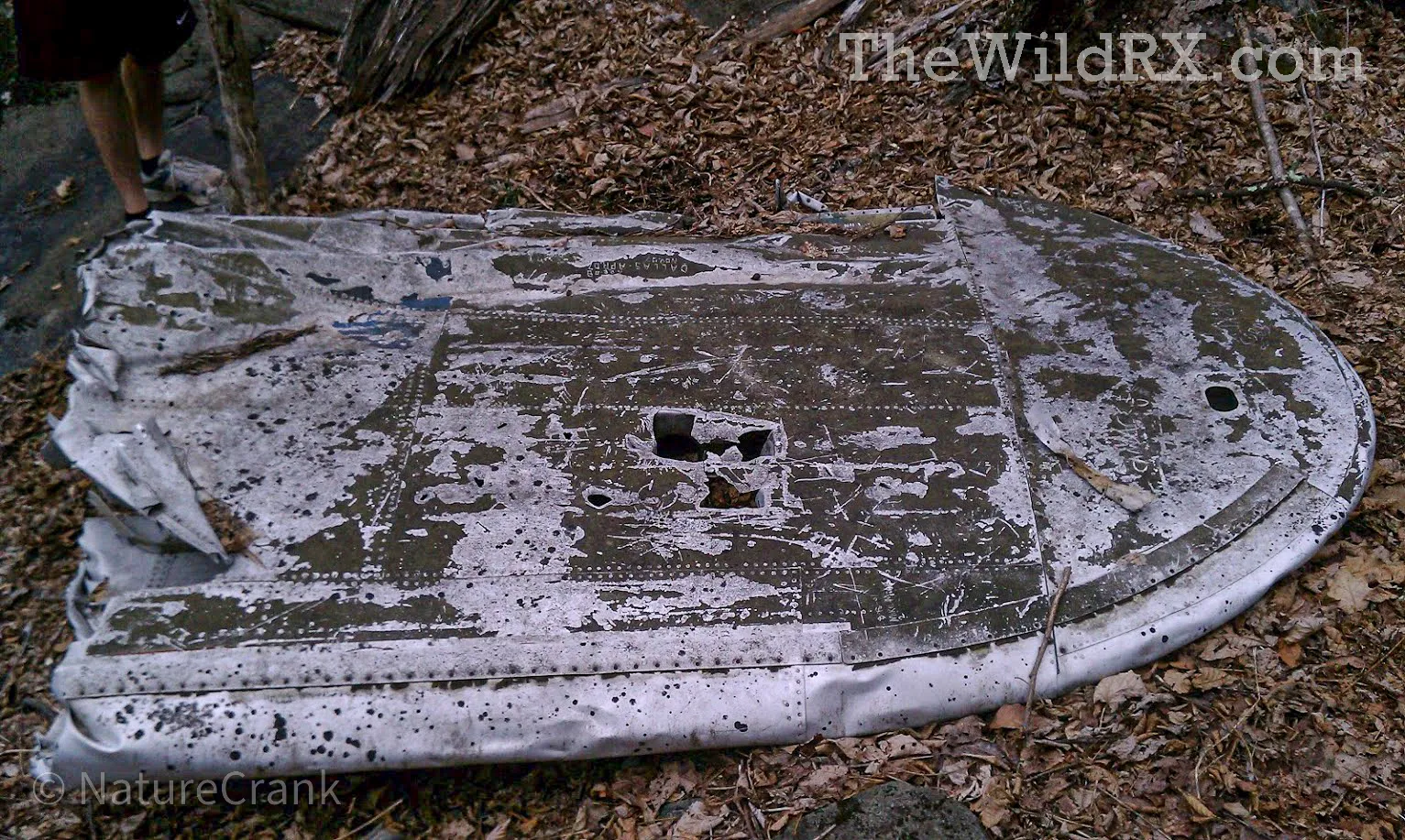 Close-up of a torn B-25 Mitchell bomber wing with visible rivets and weathered metal on Sharp Top Mountain.