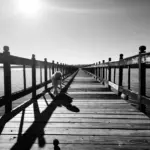 When homelessness knocks