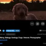 Why i chose nostr and use the primal app