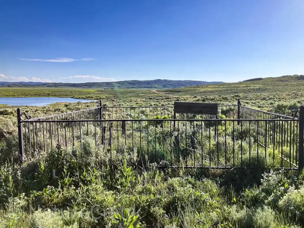 The historic Doc Wilson's children's grave site in Idaho, showing a small burial plot enclosed by a black iron fence in a grassy field.