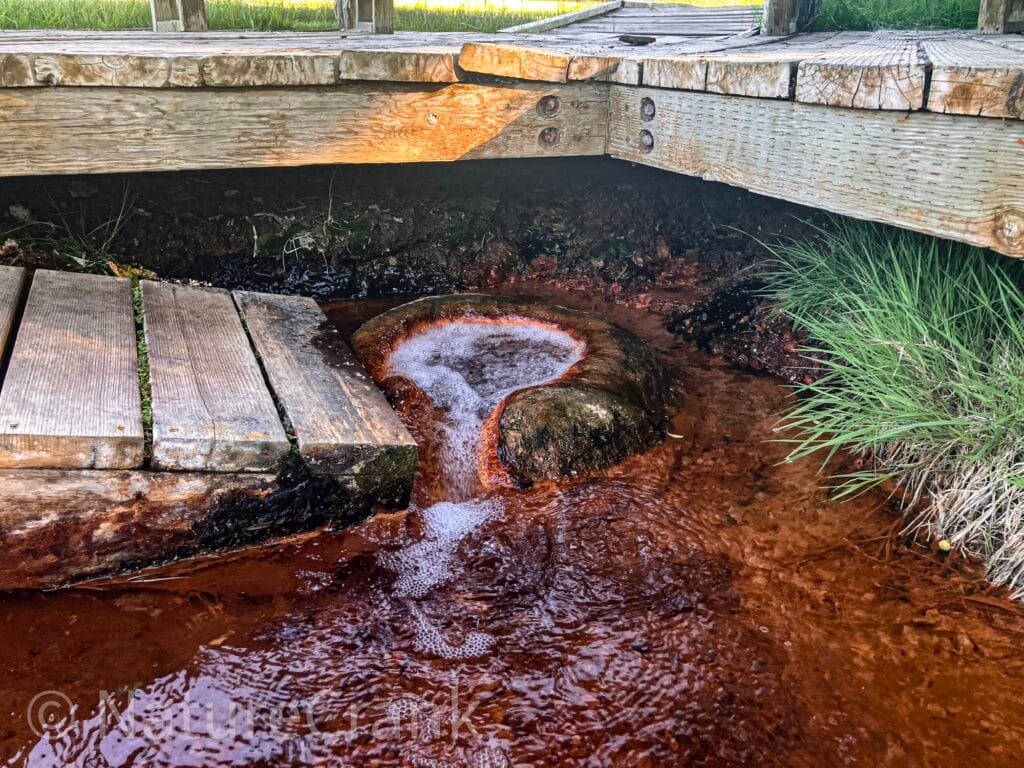Close-up of naturally carbonated water bubbling in the mineral-rich Octagon Spring basin in Soda Springs Idaho.