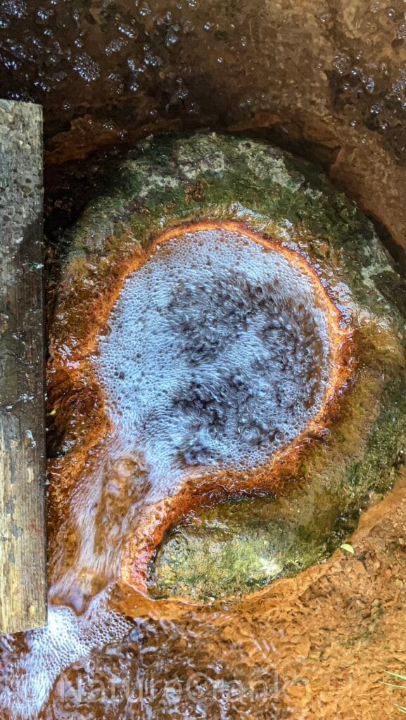 Close-up of the outlet where naturally carbonated mineral water flows into the Octagon Spring basin.