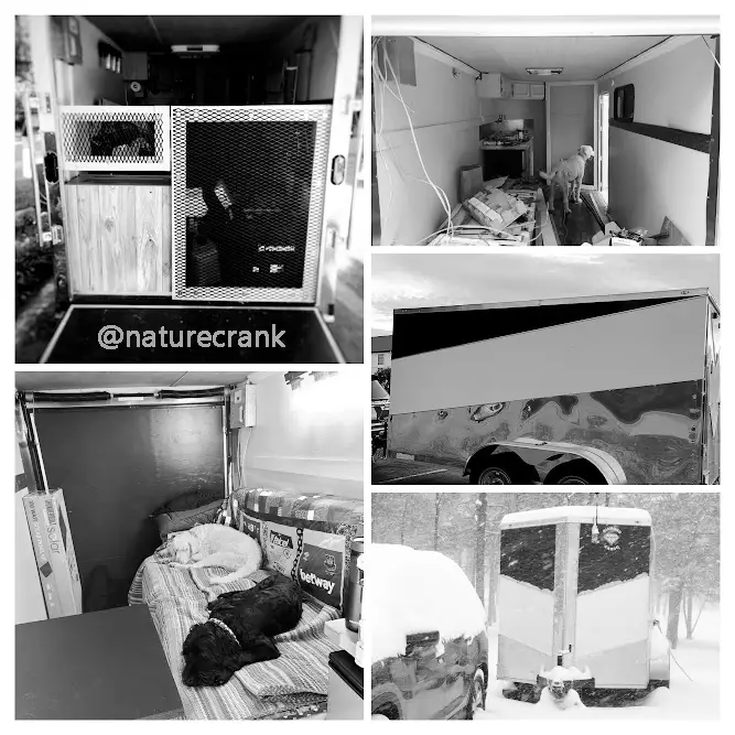 Collage showing a custom 6x12 cargo trailer RV conversion and two dogs, Lady Midnight and Maximus, inside the build.