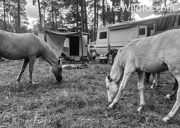 Weather conisderation while rving boondocking offgrid