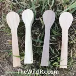 Spoon carving blanks
