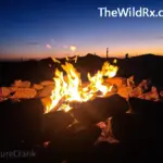 A small, glowing campfire at dusk in the Sonoran Desert with silhouettes of Saguaro cacti and a distant RV.