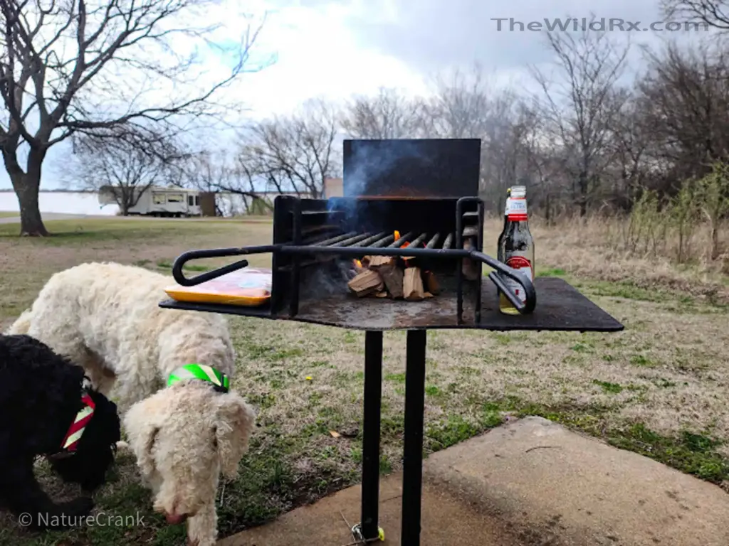Full time RV in a campground enjoying some bbq