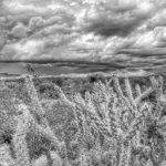 High-contrast black and white photography of desert sand dunes and rock formations showing intricate textures and deep shadows.