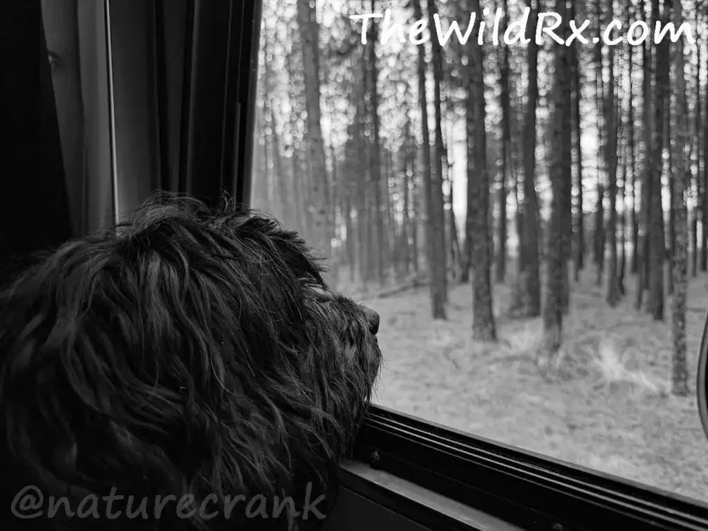 Truth about living offgrid fulltime rv life