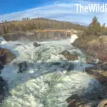 Little Falls Dam Spokane River Ford Washington