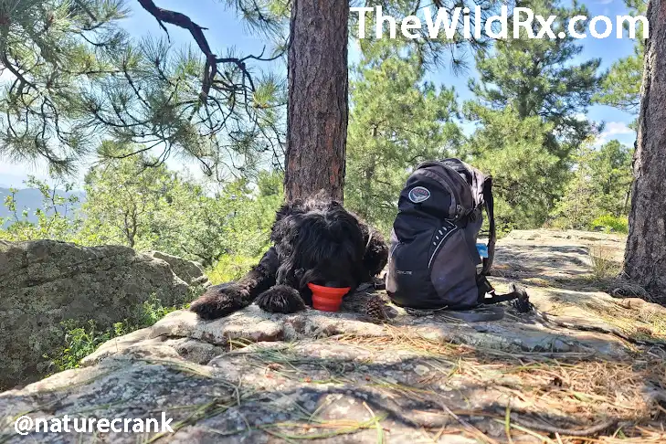 Mental health self care while backpacking