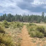 Pacific Crest Trail and John Muir Trail permit guide