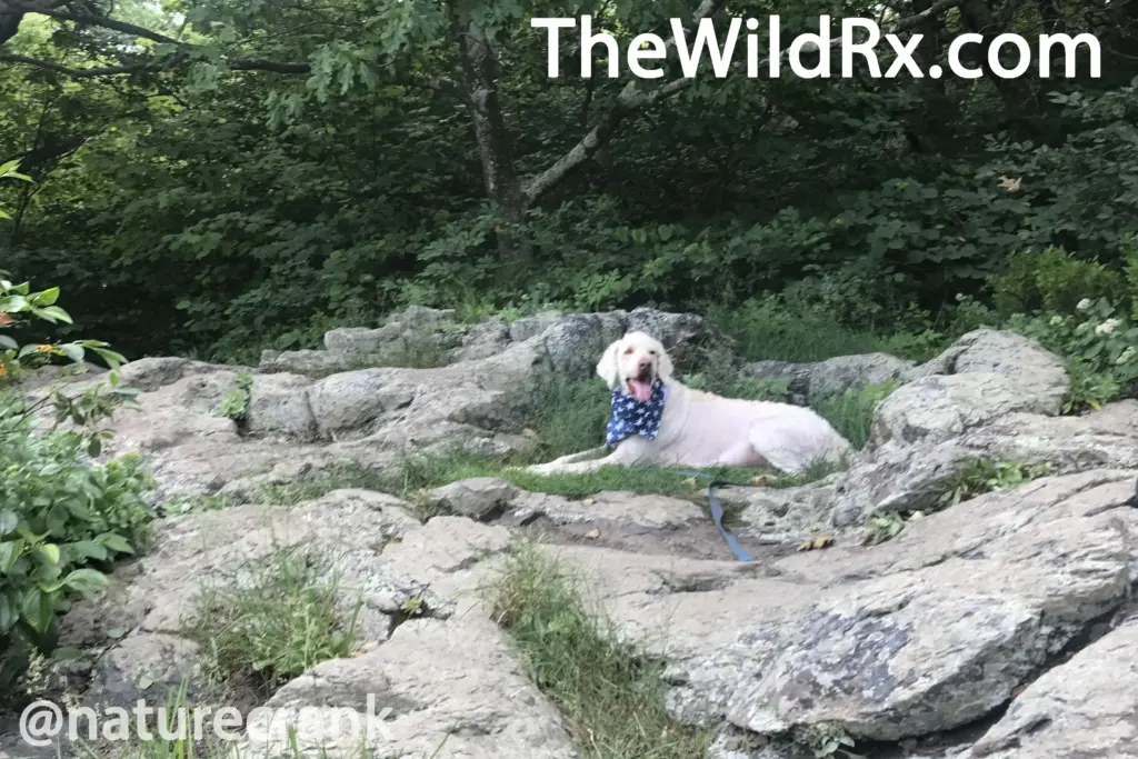 Thru hiking preparation mental hurdles