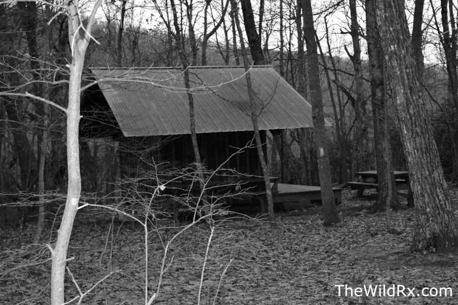 A wooden Appalachian Trail lean-to shelter before dusk, offering a quiet and free camping spot for a thru-hiker after a long day on the trail