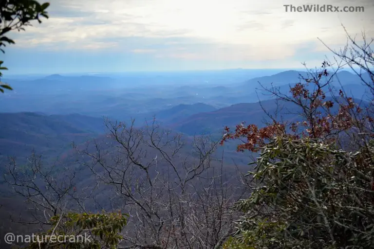 Scenic blue mountain vistas from a ridgeline on the Appalachian Trail, representing the 2,190-mile journey for 2026 thru-hikers.