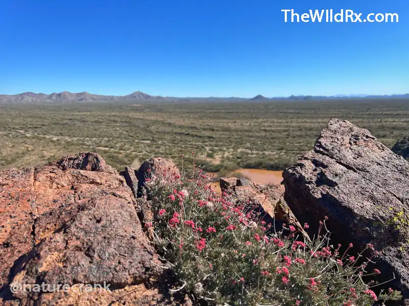 Thru hike preparation guide