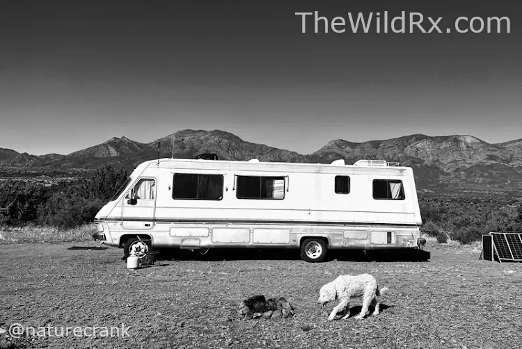 1987 Fleetwood Pace Arrow vintage motorhome 