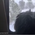 Lady Midnight the dog looking out a snowy RV window during a winter boondocking trip with a diesel heater setup.