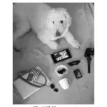 A black-and-white overhead view of a dog lying on a blanket surrounded by a laptop, coffee, and mobile devices, symbolizing the intersection of daily life and digital connectivity.