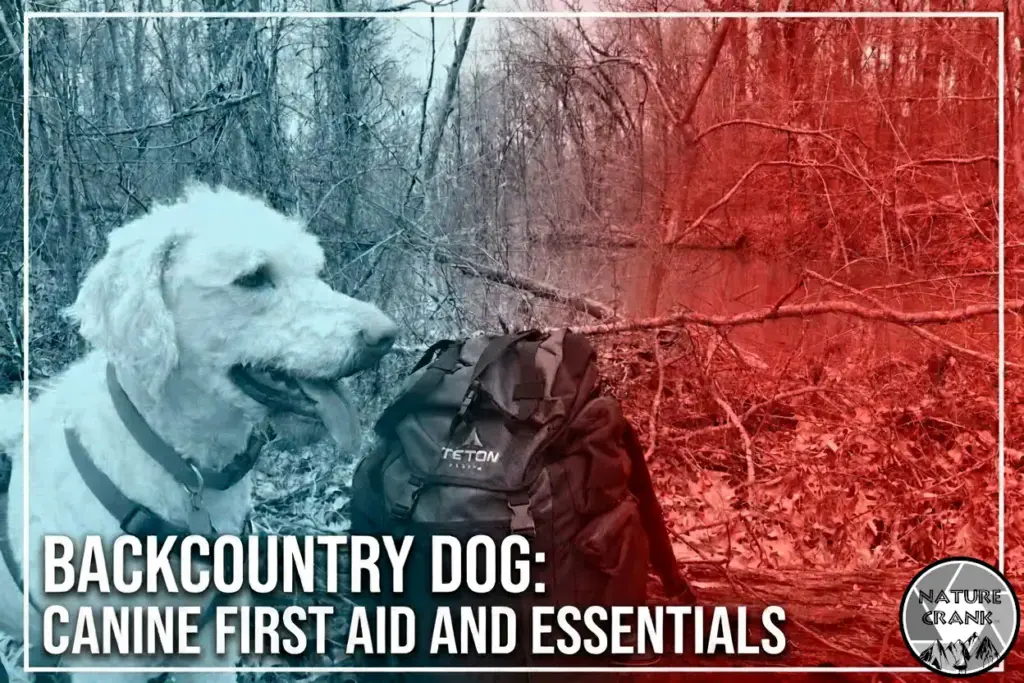 A white dog sitting next to a Teton Sports hiking backpack in a forest, with a digital overlay title reading "Backcountry Dog: Canine First Aid and Essentials."