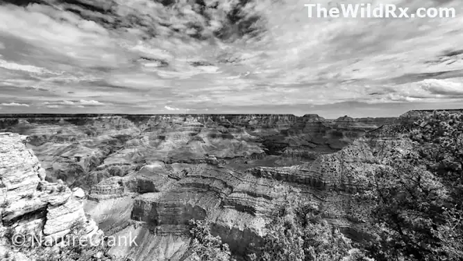Wide landscape view of the Grand Canyon ridges and rock formations under a cloudy sky.