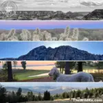 A collage of landscape photography examples including mountain vistas, desert plants, a scenic lake, and a dog overlooking nature.