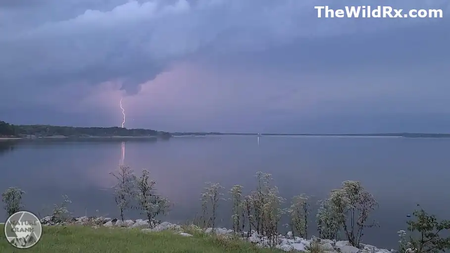A lightning bolt striking the far shore of a calm lake under a purple and gray storm sky, seen from a grassy shoreline.