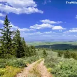A rocky hiking trail leading through pine trees with a vast, open valley and blue sky in the background during a multi-day hike.