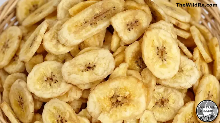 A close-up landscape view of crispy, golden dehydrated banana chips in a wicker basket, demonstrating the results of home food dehydration.