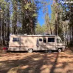 A vintage beige Class A motorhome parked for boondocking in a pine tree forest under a blue sky, showcasing low-impact RV living.