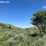A wide mountain valley with sagebrush, a lone leafy tree, and distant ridges used for terrain association in wilderness navigation.
