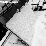 A portable ground-mounted RV solar panel array partially covered in thick snow next to a camper during winter boondocking.